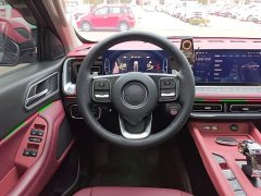 Geely Cannon 2024 2.4T Off-Road Edition Automatic Diesel 4WD Advanced - ფოტო 11