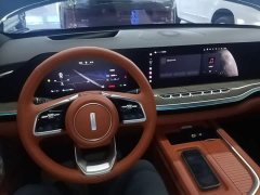 Great Wall WEY Blue Mountain 2023 Four-Wheel Drive Extended Range Version - ფოტო 10