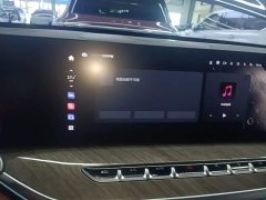 Great Wall WEY Blue Mountain 2023 Four-Wheel Drive Extended Range Version - ფოტო 13