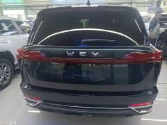 Great Wall WEY Blue Mountain 2023 Four-Wheel Drive Extended Range Version - ფოტო 6