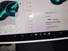 Tesla Model Y Rear-Wheel Drive - ფოტო 12
