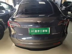 Tesla Model Y Rear-Wheel Drive - ფოტო 6