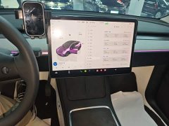 Tesla Model Y Rear-Wheel Drive - ფოტო 13