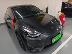 Tesla Model Y Rear-Wheel Drive - ფოტო 4
