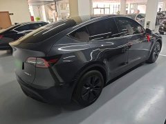 Tesla Model Y Rear-Wheel Drive - ფოტო 7