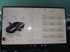 Tesla Model 3 2023 Rear-Wheel Drive - ფოტო 12