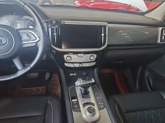 Geely Cannon 2021 2.0T Passenger Global Edition Automatic Diesel 2WD Comfort Standard Box GW4D20M - ფოტო 13