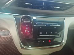 Buick GL8 2023 Land Business Class Comfort Edition - ფოტო 14