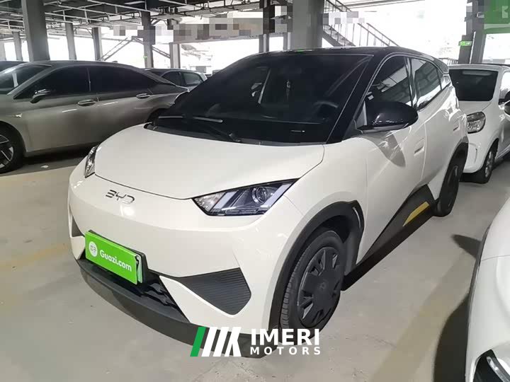 BYD Seagull 305km Vitality Edition - ავტომობილი ჩინეთიდან