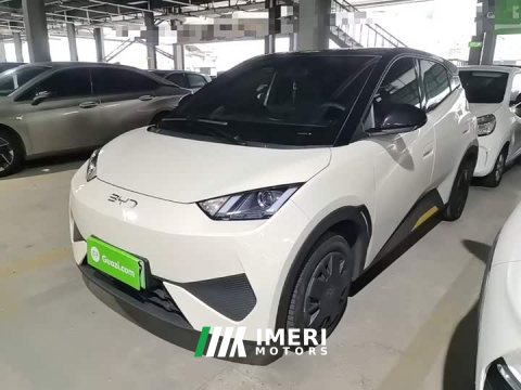 2025 BYD Seagull 305km Vitality Edition - ავტომობილი ჩინეთიდან
