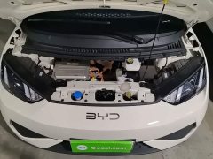 BYD Seagull 305km Vitality Edition - ფოტო 20