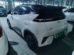 BYD Seagull 305km Vitality Edition - ფოტო 5