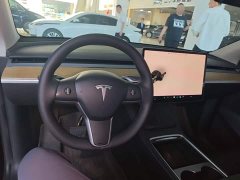 Tesla Model Y Rear-Wheel Drive - ფოტო 10