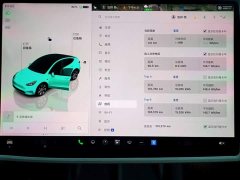 Tesla Model Y 2022 Facelift Rear-Wheel Drive - ფოტო 12