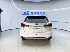Lexus RX 300 AWD Edition - ფოტო 5