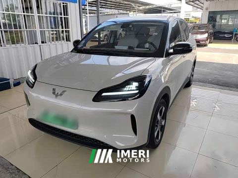 2024 Wuling Binguo PLUS 330km 5-Seater
