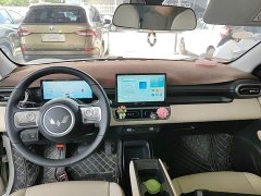 Wuling Binguo PLUS 330km 5-Seater - ფოტო 10