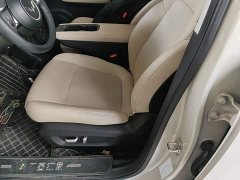 Wuling Binguo PLUS 330km 5-Seater - ფოტო 15