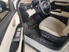 Wuling Binguo PLUS 330km 5-Seater - ფოტო 16