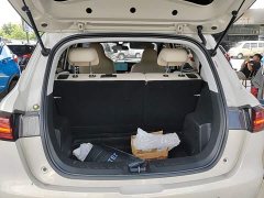 Wuling Binguo PLUS 330km 5-Seater - ფოტო 19