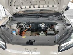 Wuling Binguo PLUS 330km 5-Seater - ფოტო 20
