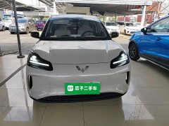 Wuling Binguo PLUS 330km 5-Seater - ფოტო 3