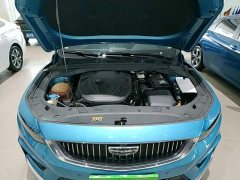 Geely Xingrui 2.0T Diesel Luxury Plus - ფოტო 20