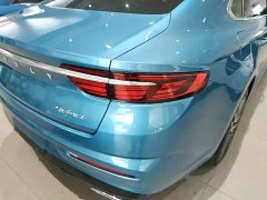 Geely Xingrui 2.0T Diesel Luxury Plus - ფოტო 8