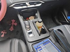 Nissan Arrizo DV 260T Dark Horse Edition Idol - ფოტო 14