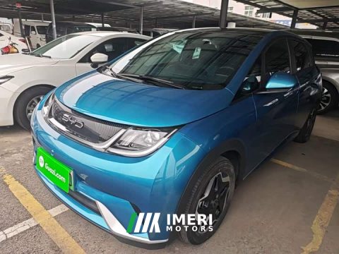 2023 BYD Dolphin 405km Fashion Edition - ავტომობილი ჩინეთიდან