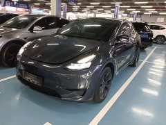 Tesla Model Y Rear-Wheel Drive - ფოტო 1