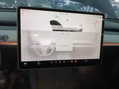 Tesla Model Y Rear-Wheel Drive - ფოტო 9