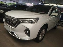 Haval M6 PLUS 1.5T DCT Luxury Smart Connected Edition - ფოტო 1