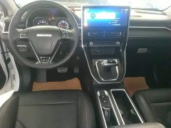 Haval M6 PLUS 1.5T DCT Luxury Smart Connected Edition - ფოტო 10