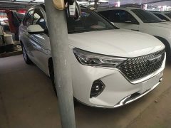 Haval M6 PLUS 1.5T DCT Luxury Smart Connected Edition - ფოტო 4