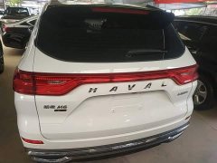 Haval M6 PLUS 1.5T DCT Luxury Smart Connected Edition - ფოტო 6