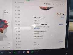 Tesla Model 3 Rear-Wheel Drive - ფოტო 12