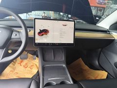 Tesla Model 3 Rear-Wheel Drive - ფოტო 13