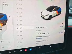Tesla Model Y Rear-Wheel Drive - ფოტო 12