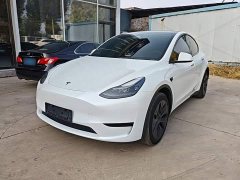 Tesla Model Y Rear-Wheel Drive - ფოტო 2
