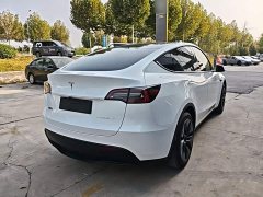 Tesla Model Y Rear-Wheel Drive - ფოტო 7