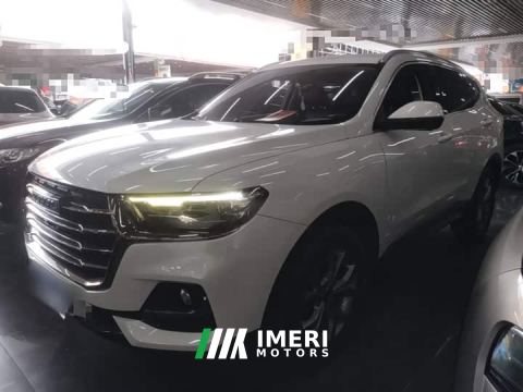 2021 Haval H6 National Trend 1.5T Automatic Champion Edition - автомобиль из Китая