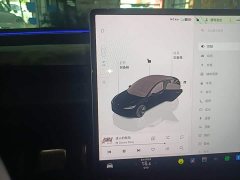 Tesla Model 3 2023 Rear-Wheel Drive - ფოტო 14