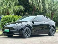 Tesla Model Y Rear-Wheel Drive - ფოტო 1