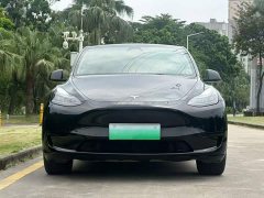 Tesla Model Y Rear-Wheel Drive - ფოტო 3