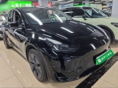Tesla Model Y Rear-Wheel Drive - ფოტო 4
