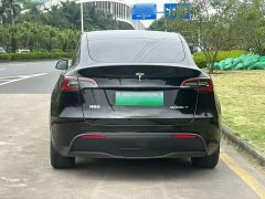 Tesla Model Y Rear-Wheel Drive - ფოტო 6