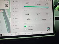Xpeng Xiaopeng MONA M03 620 Extended Range - ფოტო 12