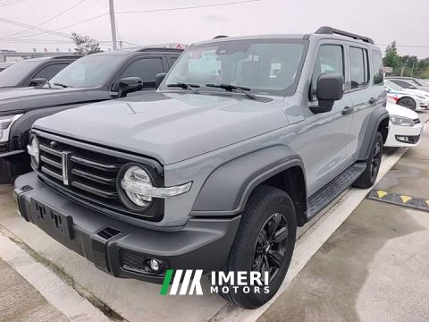 2021 Tank 300 Off-Road Edition 2.0T Conqueror - ავტომობილი ჩინეთიდან