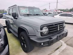 Tank 300 Off-Road Edition 2.0T Conqueror - ფოტო 4